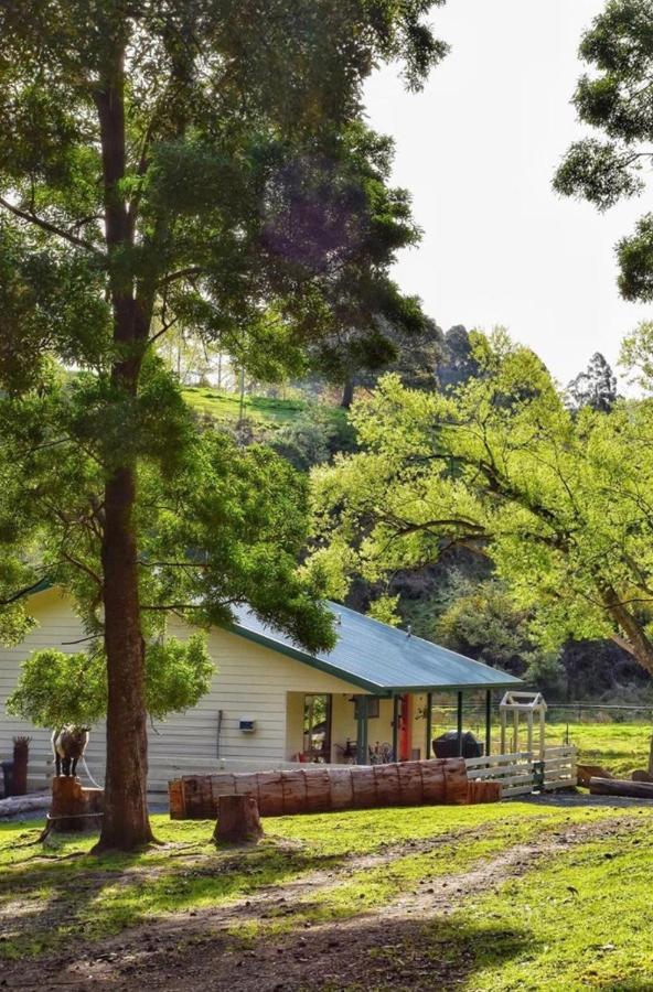 Kymmik Cottage Geeveston Экстерьер фото